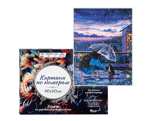 Картина по номерам 40х50 "Прогулка под дождем" (26 цветов)
