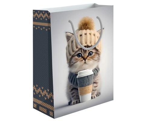 Пакет бумажный подарочный ВС "Пушистый кот" глянец, размер 18x23x10см