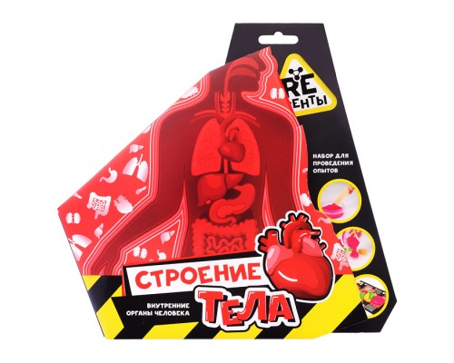 Научно-познавательный набор "Строение тела"