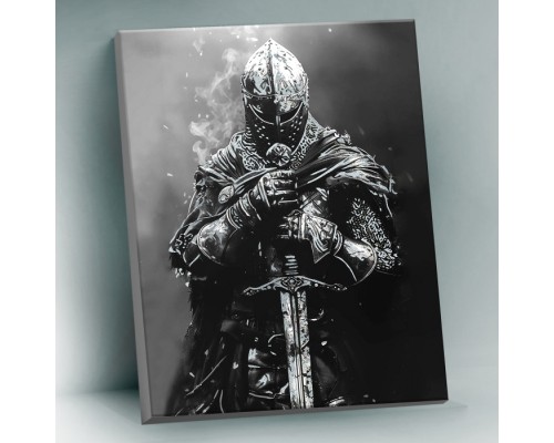 Картина по номерам 40х50 "Рыцарь средневековья" с поталью платина (9 цветов)