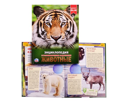 Животные (энциклопедия А) твердый переплет