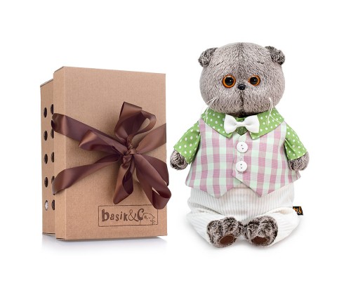 Кот Басик в легком костюме