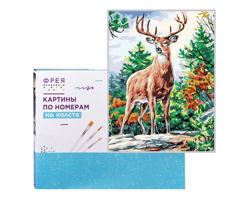 Набор для раскрашивания по номерам 50х40 "Великолепный олень" (цветной холст)