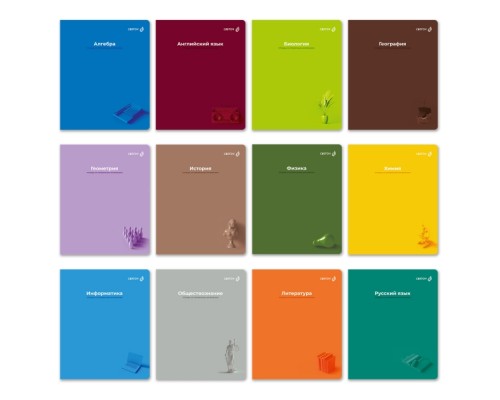 Комплект тетрадей 48л. клетка/линия "Капсула знаний" 12 шт. на скобе 60 г/кв.м , белизна 90 % софт-т