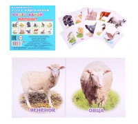 Развивающие карточки. ЕП. У кого какой малыш? 0+