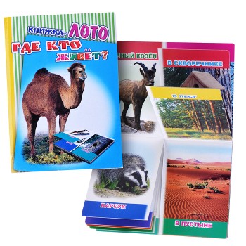 Книга Лото. Где кто живет? (Алфея)