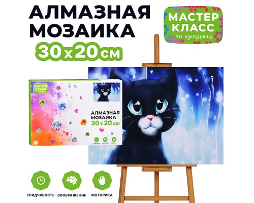 Мозаика алмазная "Чёрный котёнок" 20*30см.