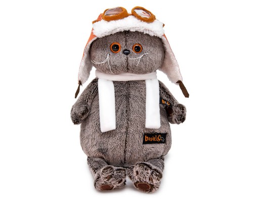 Кот Басик в шлеме и шарфе