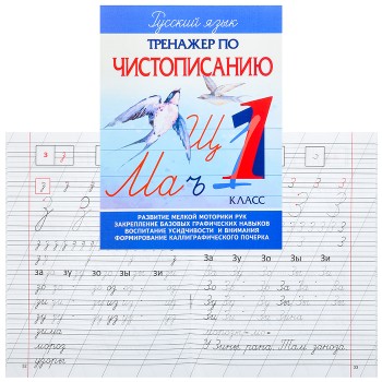 Тренажер по чистописанию 1 Класс