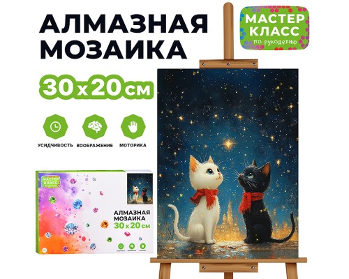 Мозаика алмазная "Два кота под звездным небом" 20*30см.