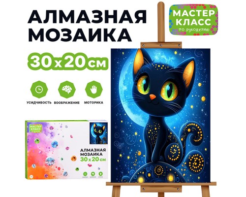 Мозаика алмазная "Черный кот" 20*30см.