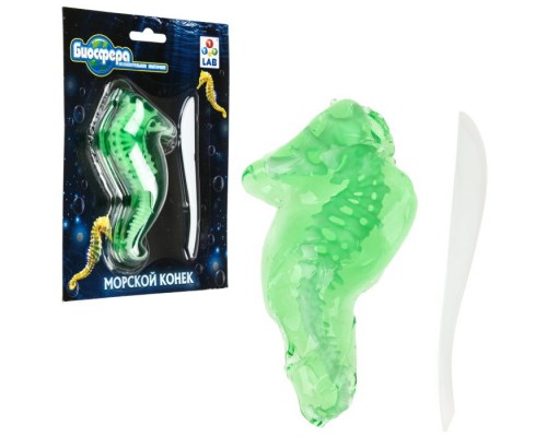Познавательная анатомия, мини набор "Морской конек" 14х18см