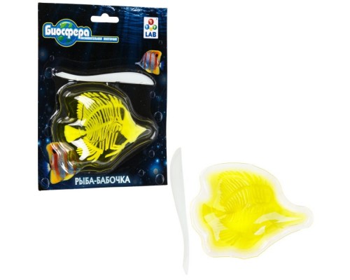 Познавательная анатомия, мини набор "Рыба-бабочка" 14х18см