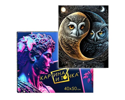 Картина по номерам 40х50 "Магические совы" с кристаллами из хрусталя (21 цвет)