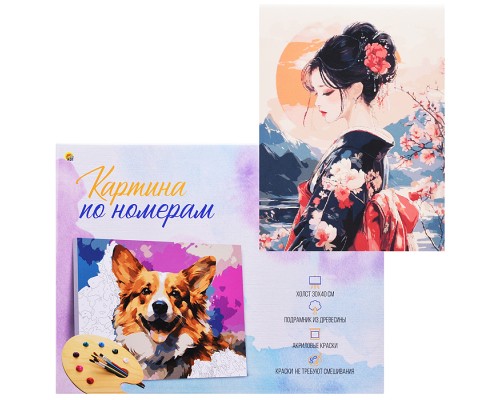Холст с красками 30x40 по номерам "Девушка в кимоно" в коробке (30цв.)