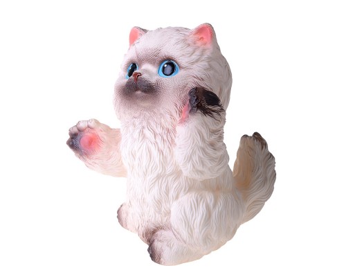 Котенок Гудвин