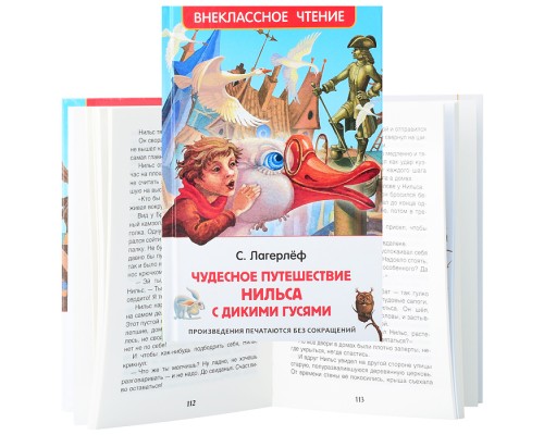 Лагерлёф С. Чудесное путешествие Нильса с дикими гусями (ВЧ)