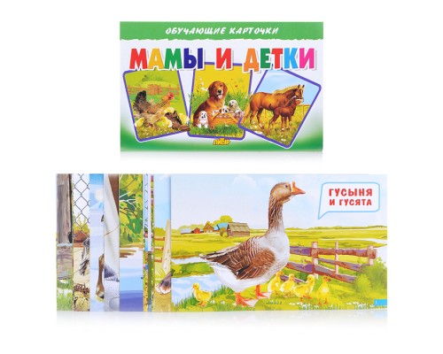 Обучающие карточки. Мамы и детки