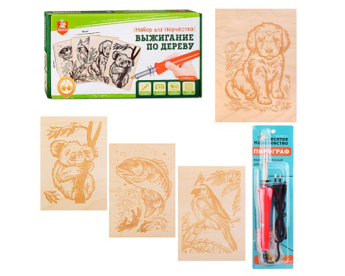Выжигание. Набор для выжигания по дереву (аппарат с насадками, доски 5 шт)