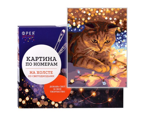 Набор для раскрашивания по номерам 40х30 "Котик с огоньками" (со светодиодами)