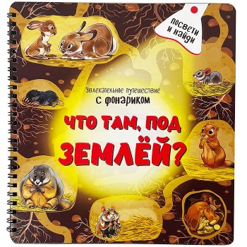 Книжка с фонариком "Что там под Землёй"