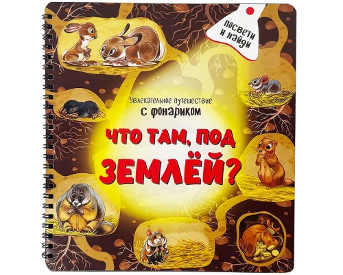 Книжка с фонариком "Что там под Землёй"