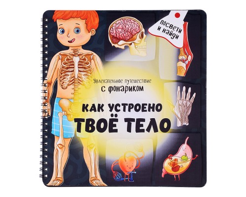 Книжка с фонариком "Как устроено твое тело"