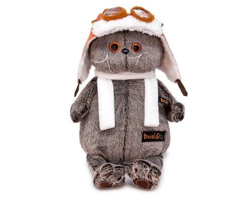 Кот Басик в шлеме и шарфе