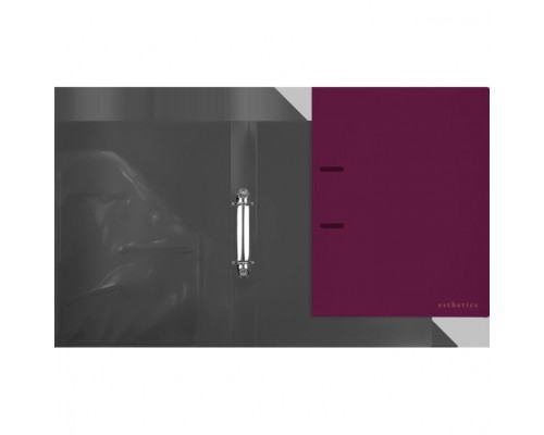 Папка на кольцах "Esthetics" A4 (240x310x35 мм) 2 кольца &Oslash; 30 мм, полипропилен 800 мкм, фактура "soft-touch" на 250 листов бумаги или 50 вкладышей, внутренний карман 160 мкм, индивидуальная упаковка, непрозрачная бургунди