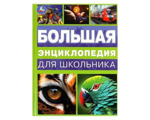 Большая энциклопедия для школьника. Энциклопедия.