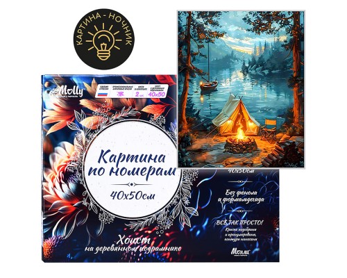 Картина по номерам 40х50 "У костра" USB LED подсветка (23 цвета)