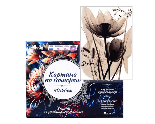 Картина по номерам 40х50 "Монохромные цветы" (11 цветов)