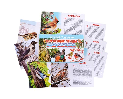 Обучающие карточки. Зимующие птицы России