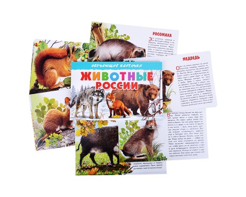 Обучающие карточки. Животные России