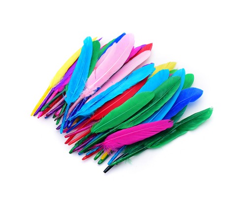 Перья декоративные "Пестрый микс" натуральные гусиные, размер 10-15 см, 50 шт ассорти цветов, в пластиковом пакете с блистерным подвесом