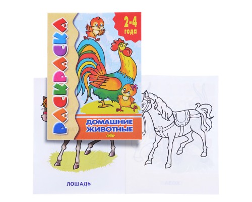 Раскраска 2-4 года. Домашние животные