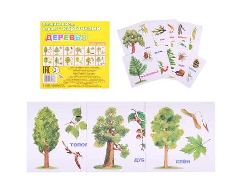 Развивающие карточки. ЕП. Деревья 0+