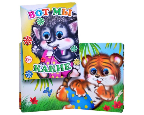 Книга Вес.глазки. Вот мы какие