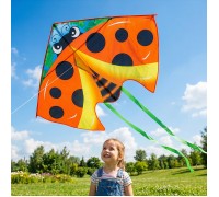 Змей воздушный "Покоритель высот"