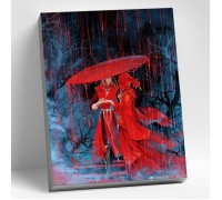 Картина по номерам 40х50 "Повелитель дождя" (21 цвет)