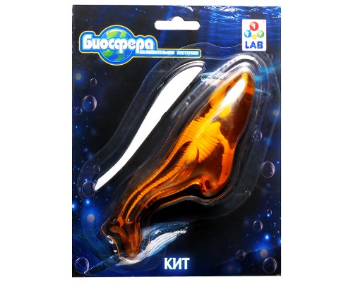 Познавательная анатомия, мини набор "Кит" 14х18см