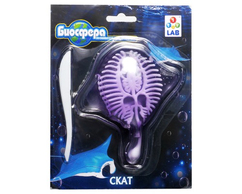 Познавательная анатомия, мини набор "Скат" 14х18см