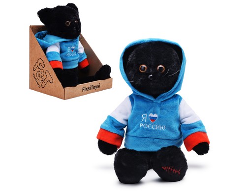 Кот в кофте Россия