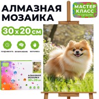Мозаика алмазная "Шпиц" 20*30см
