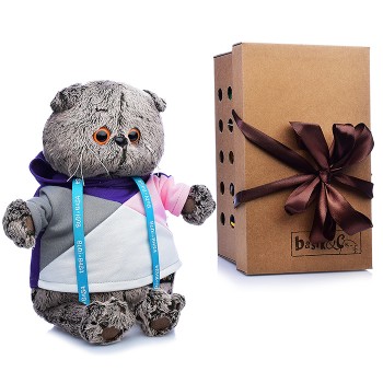 Кот Басик в разноцветной толстовке