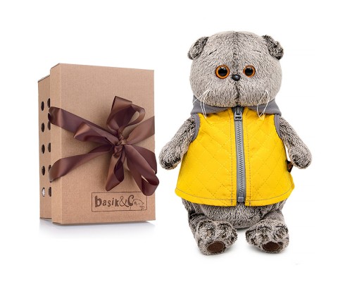 Кот Басик в желтой жилетке с серым капюшоном