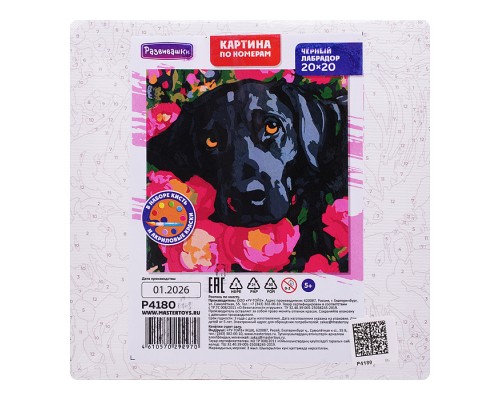 Картина по номерам "Чёрный лабрадор" 20х20см