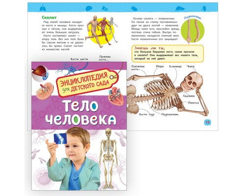 Тело человека (Энциклопедия для детского сада)