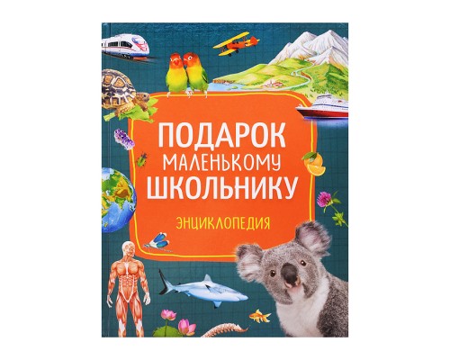 Подарок маленькому школьнику. Энциклопедия