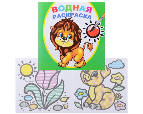 Водная раскраска. Храбрый львенок
